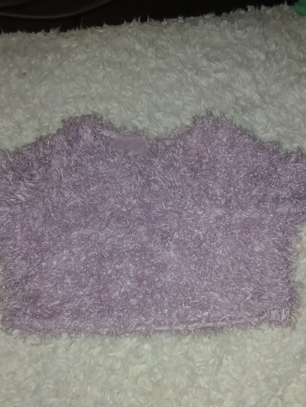 Zara Dusty Lilac Fuzzy Crop Top